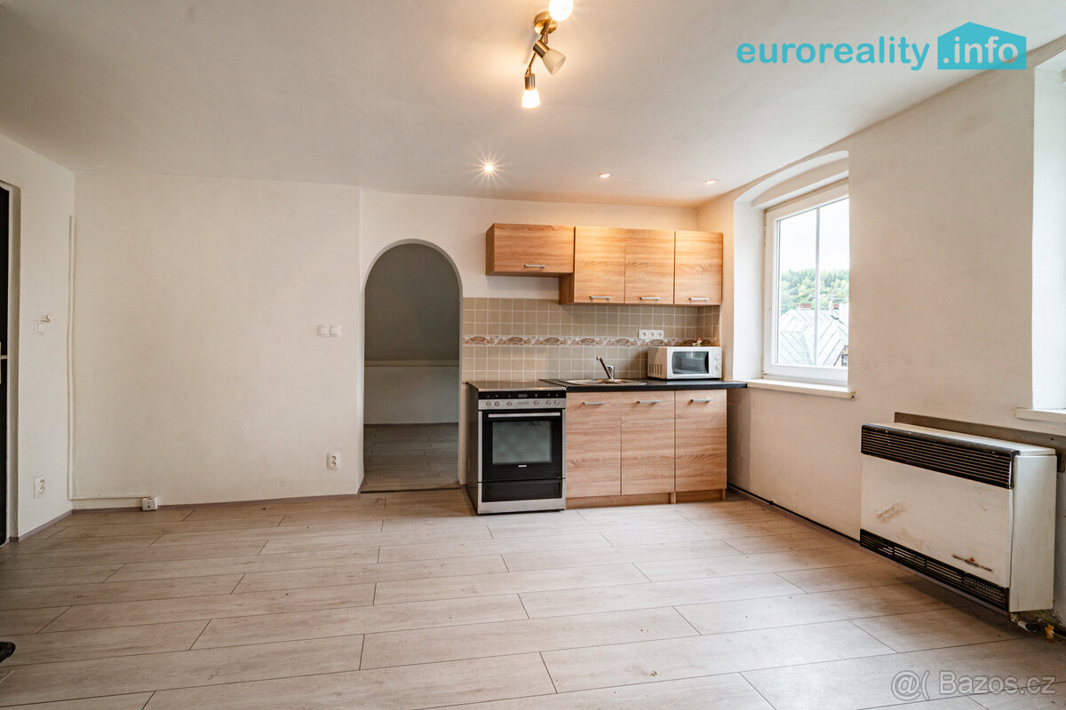 Prodej, byt 1+1, 30 m2, Kraslice, ul. Rybná - 10