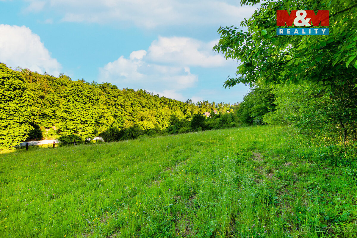 Prodej louky, 18692 m², Jílové u Prahy - 10