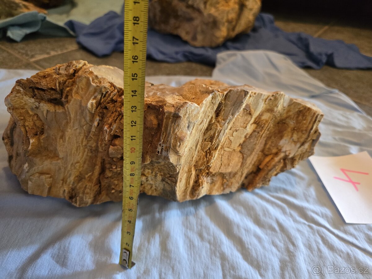 Zkamenělé dřevo do akvária - 10