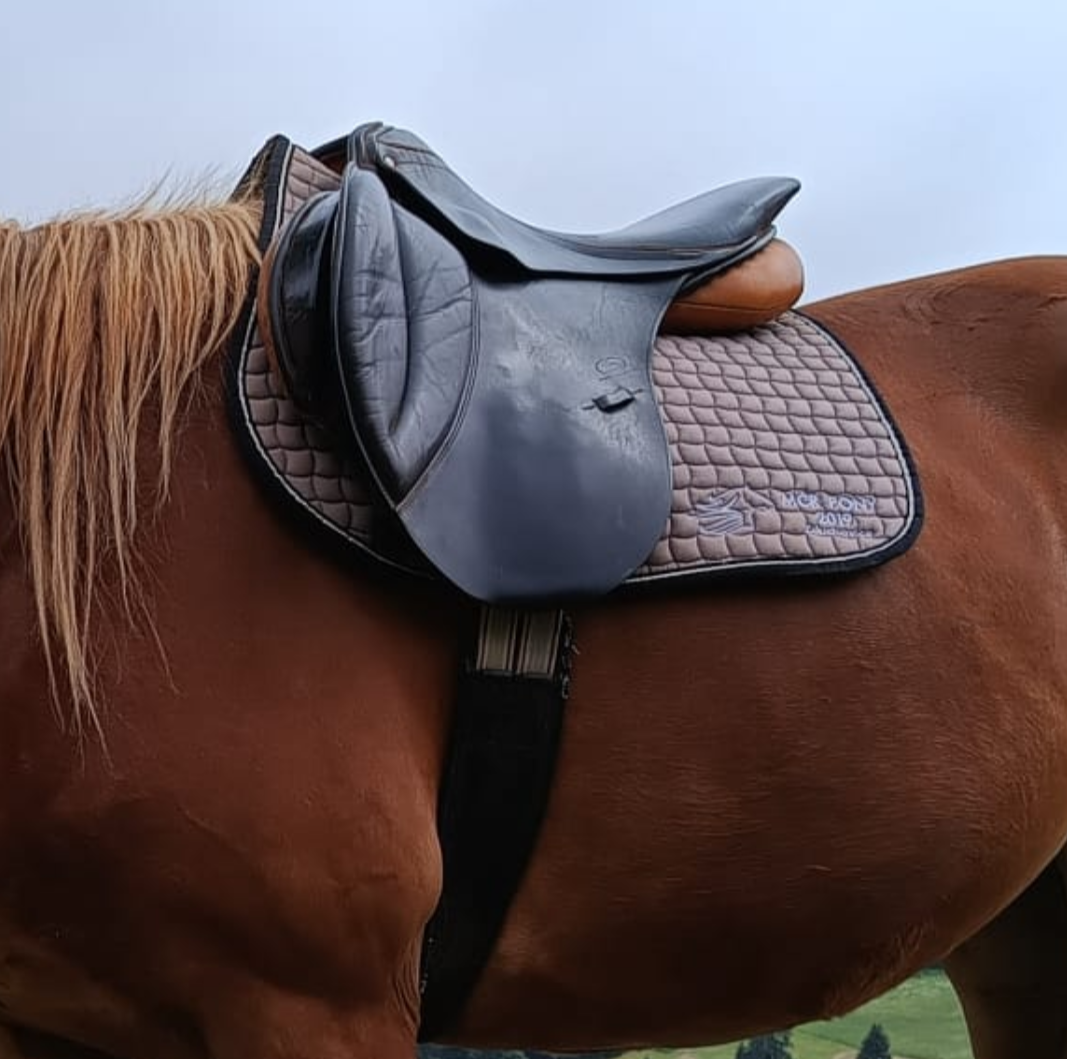 Sedlo Jan Hausr - 10