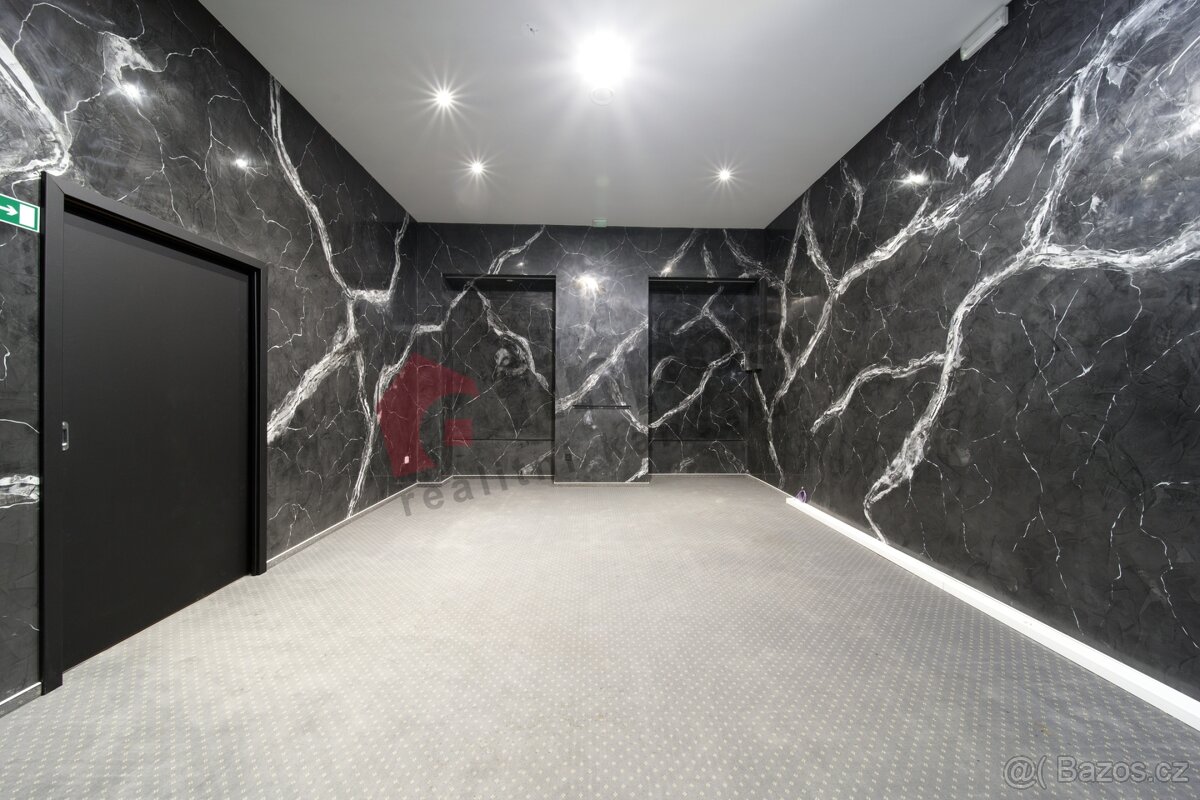 Pronájem komerčních prostor 230m2 Plzeň - 10