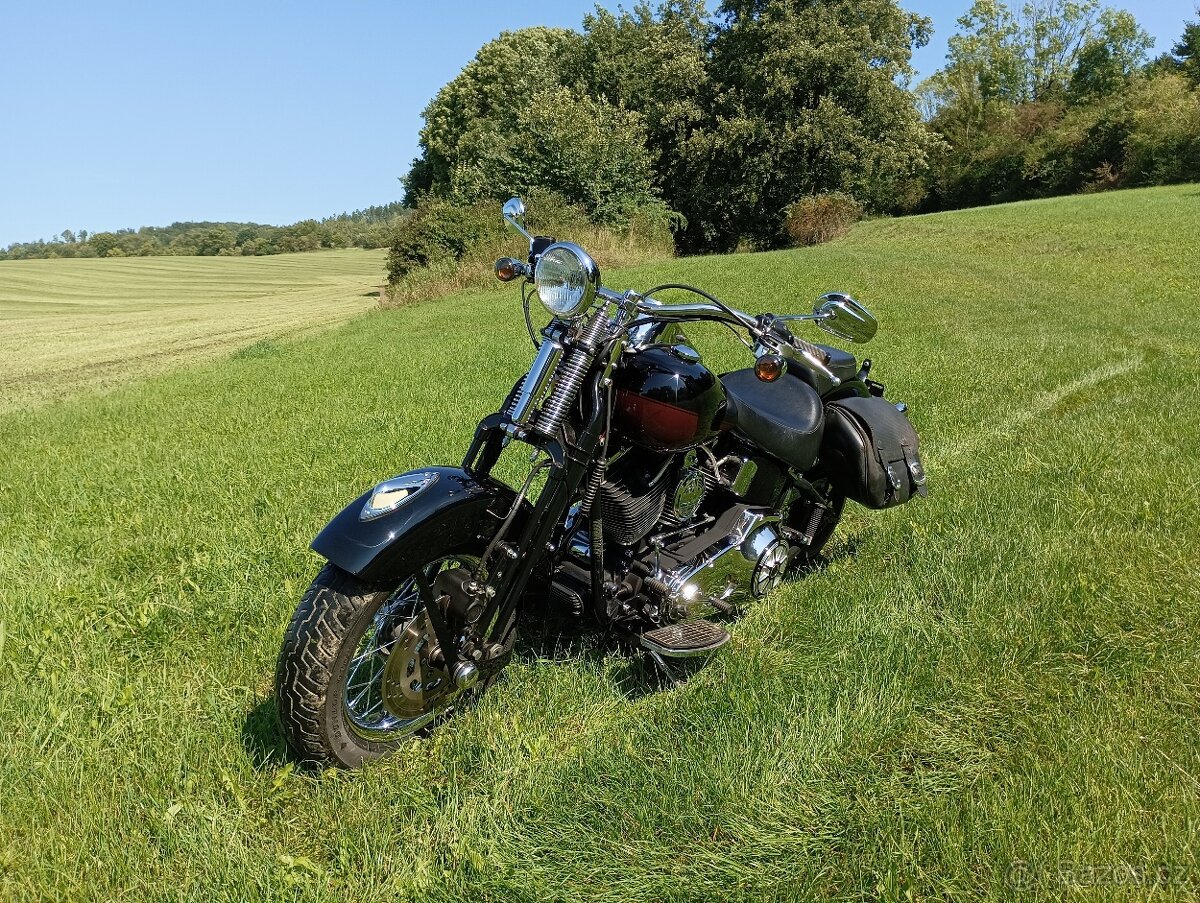 Harley Davidson FLSTS Heritage Springer - 10