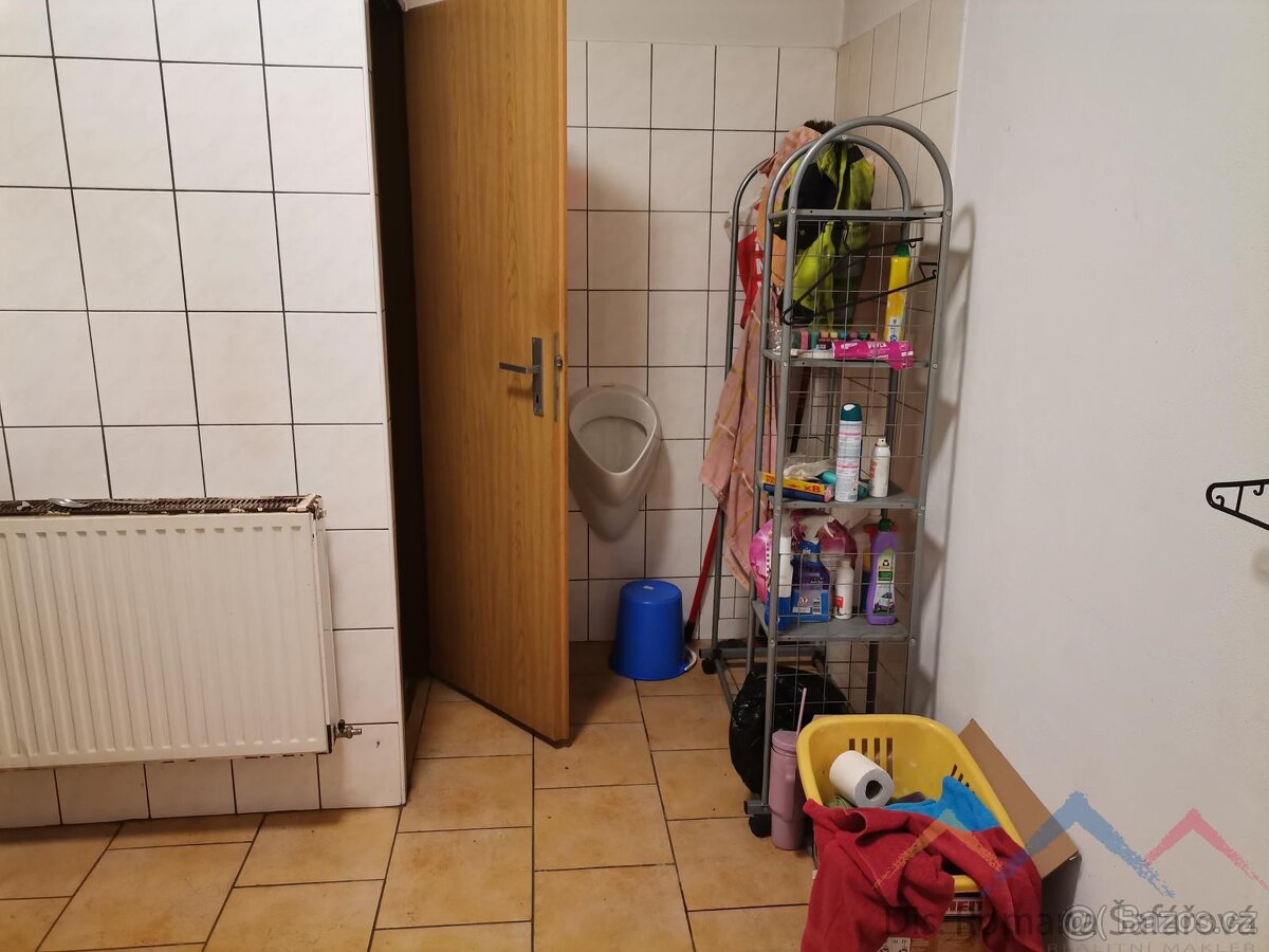 Pronájem komerčního prostoru - 10
