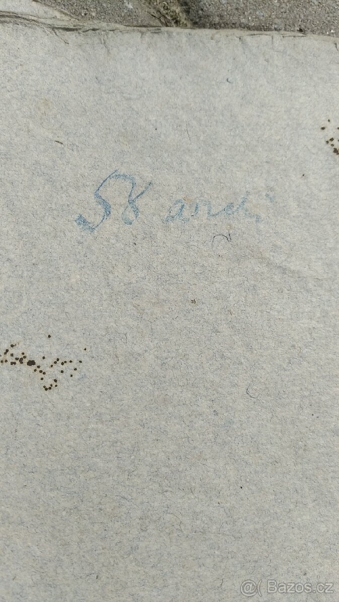 Herbář travin - 10