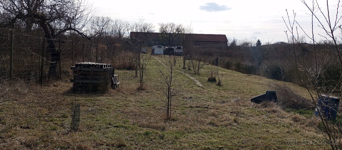 Zahrada a další pozemky 3674m2 - 10