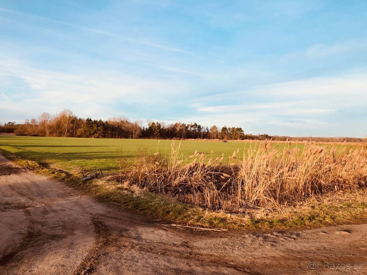 Nová Ponuka, 45 172 m² pri Levároch - 10