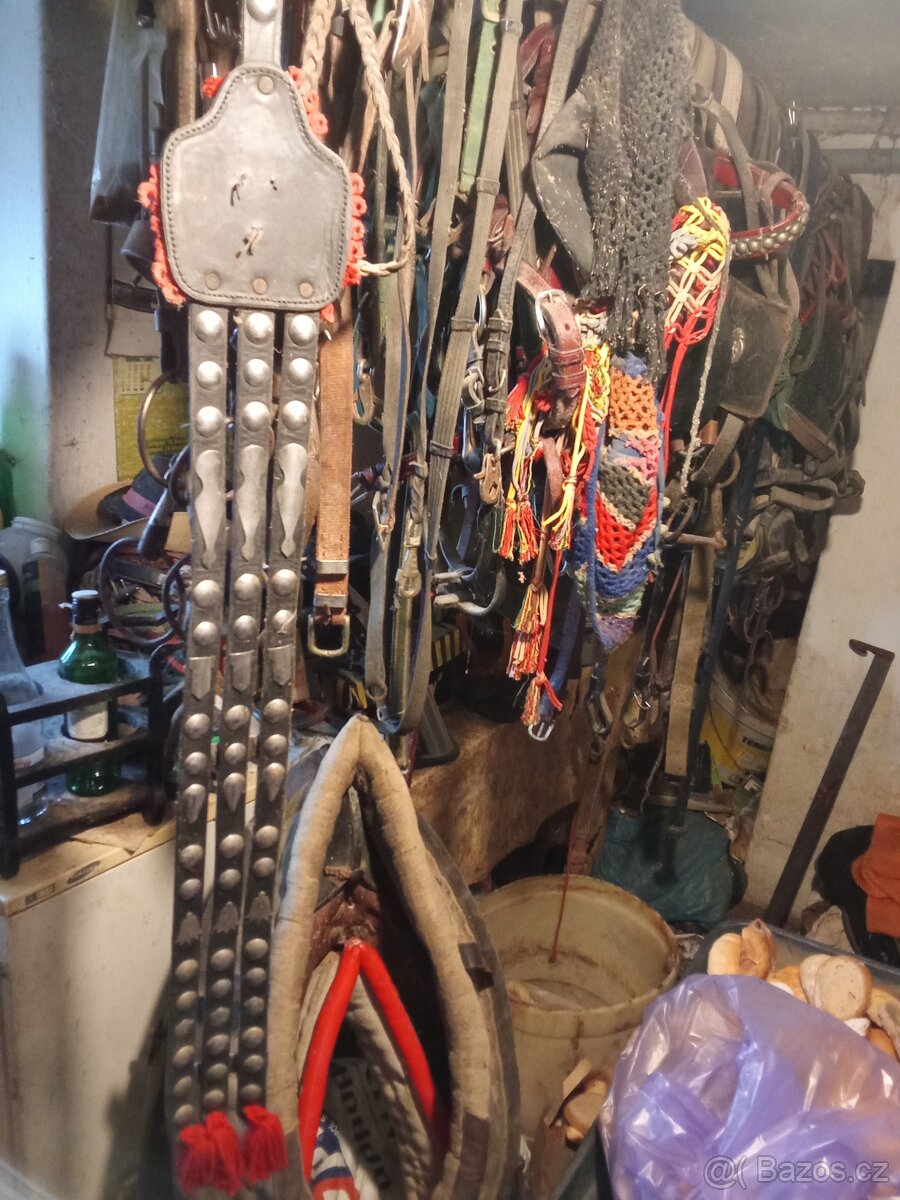 Prodám koňské potřeby - 10