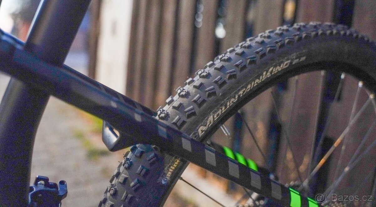 FOCUS SPINE C LITE 22G 2017 - 10