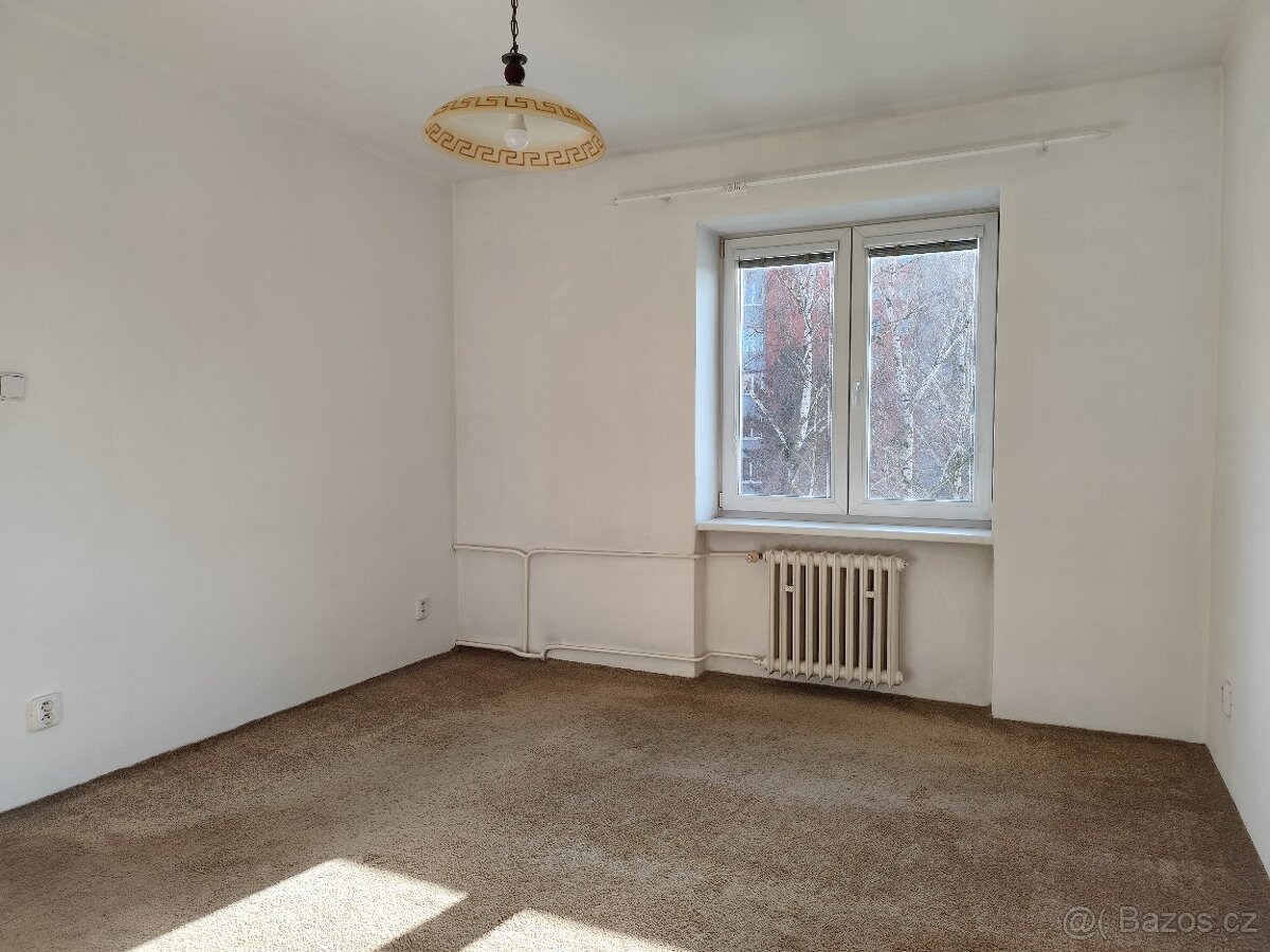 Pronajmu byt 2+1 - 10