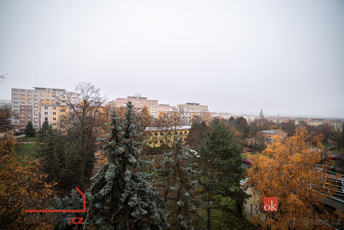 Převod dr. podílu, byty/3+1, 71 m2, Zdeňka Fibicha 2592/35, - 10