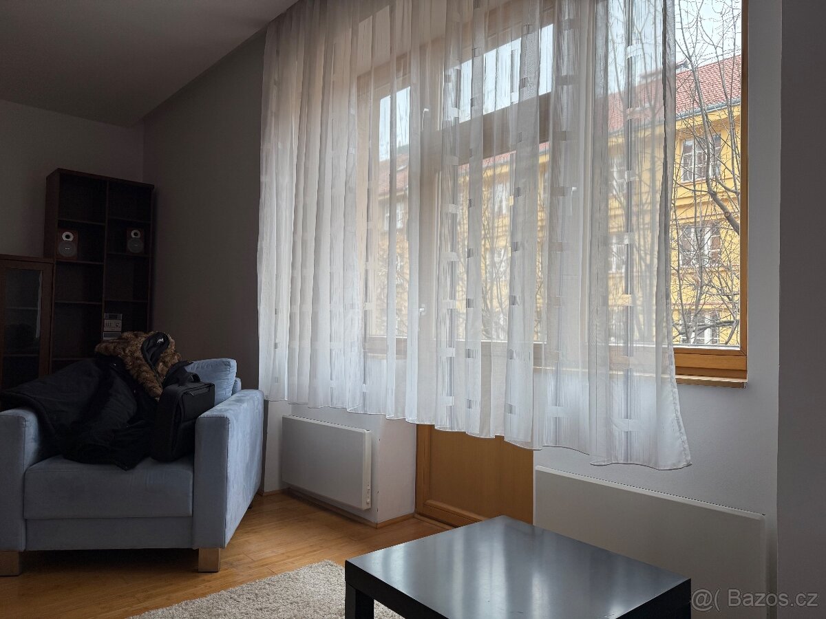 Byt Praha 3 Zerotinova ulice - 10
