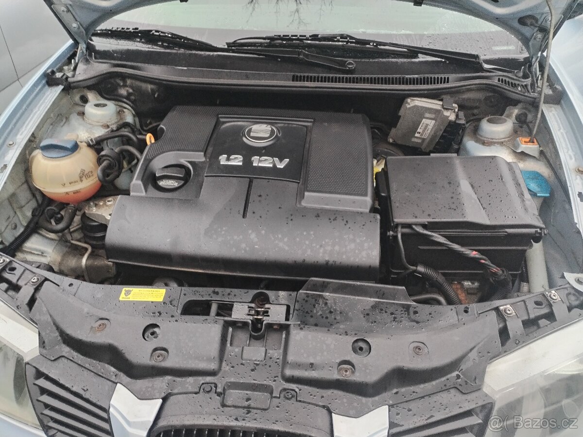 Seat Ibiza 6L - 10