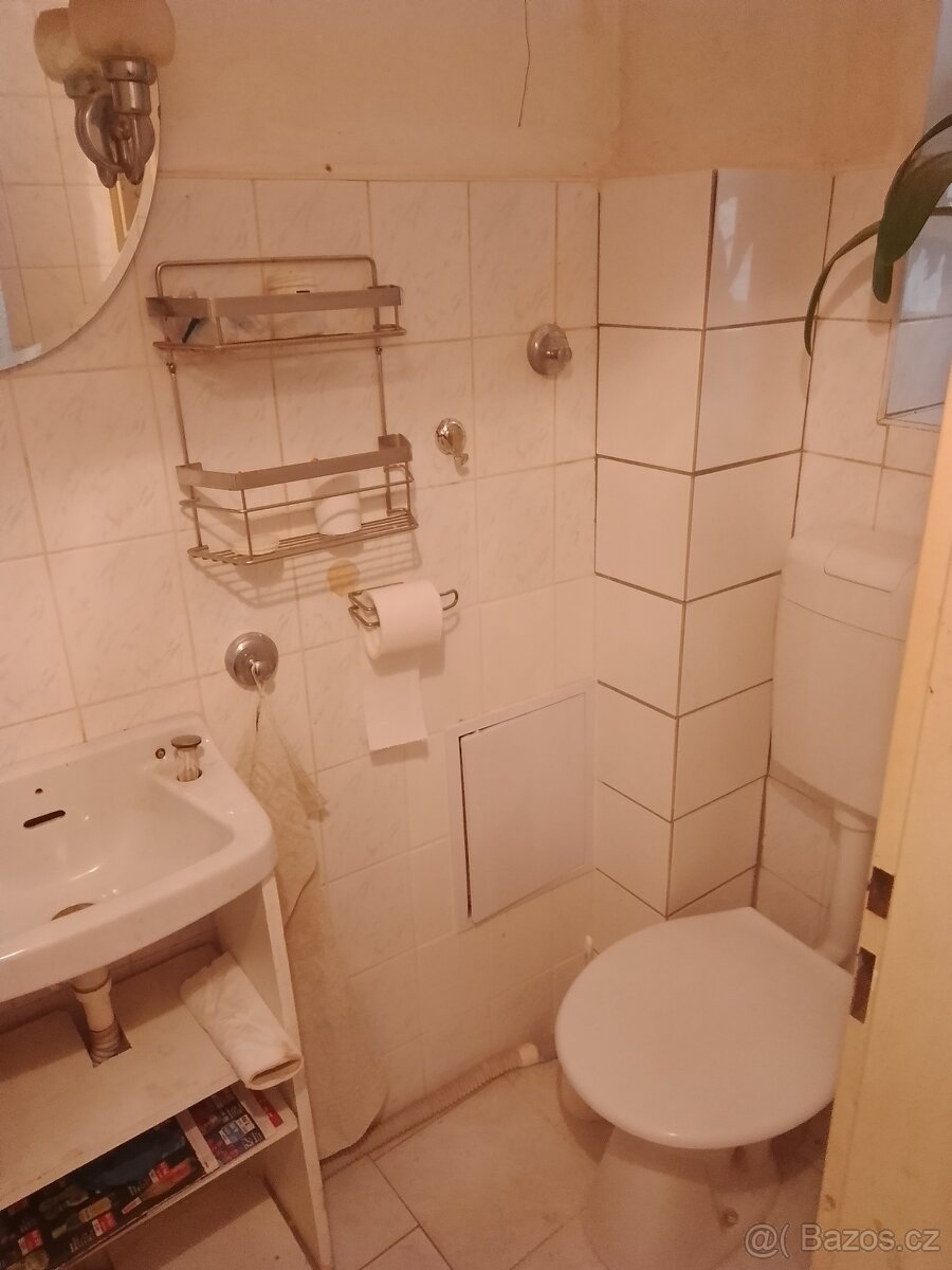 Prodám nebytový prostor - 10