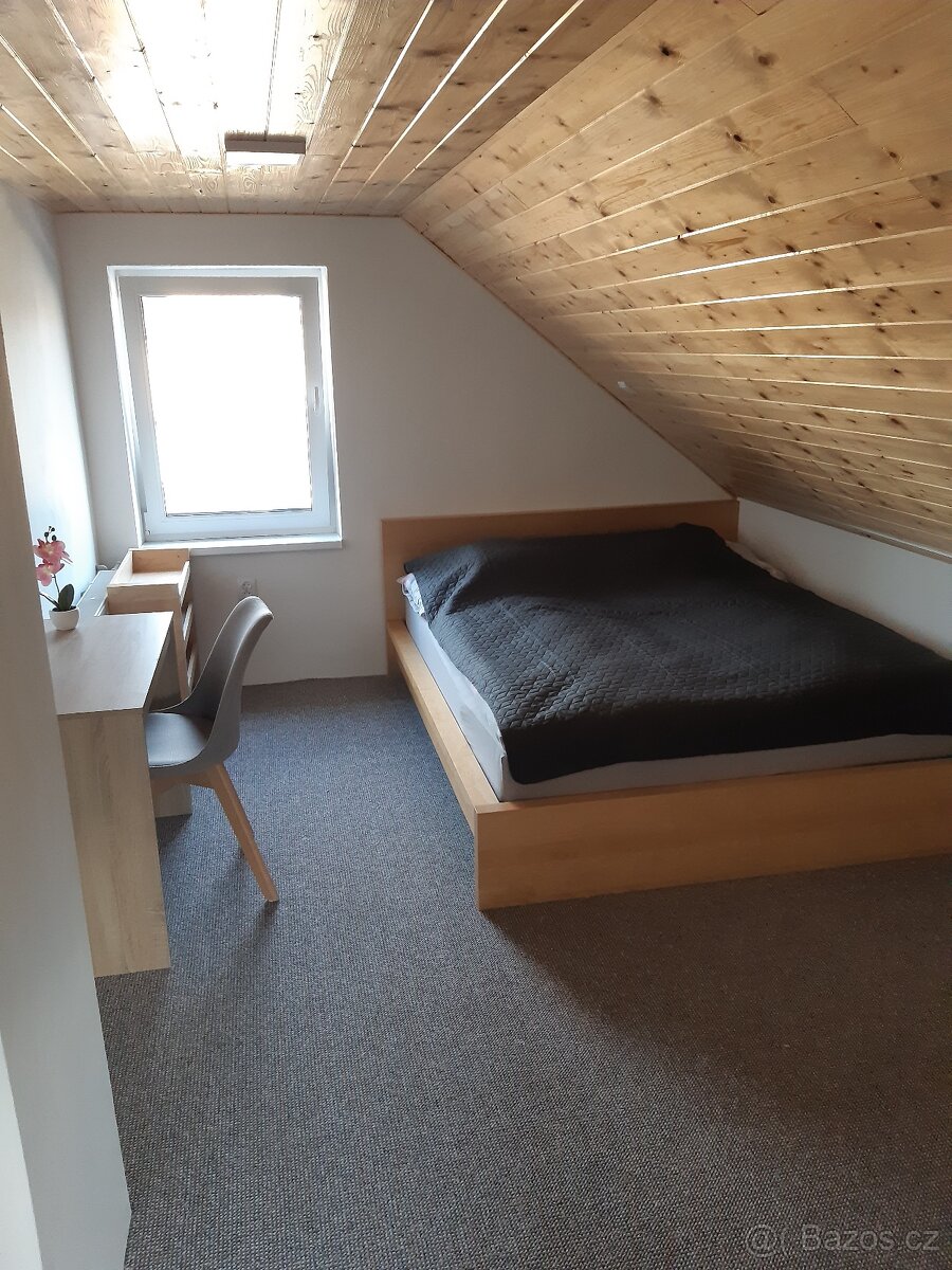 Rodinný dům s wellness koutkem pro krátkodobý pobyt - 10