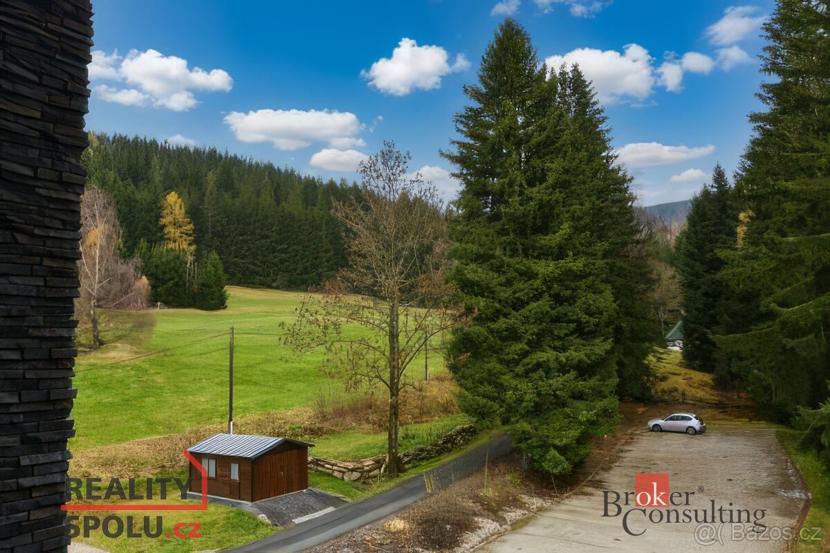 Prodej, byty/1+1, 28 m2, Rokytno 6, 51245 Rokytnice nad Jize - 10