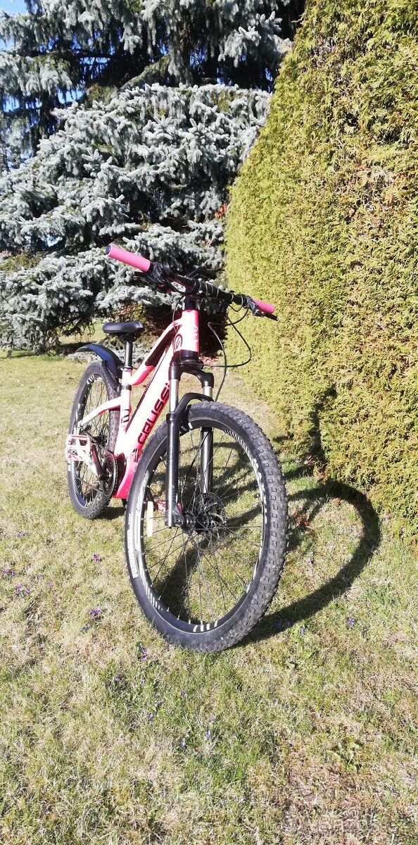 Elektrokolo CRUSSIS - 10