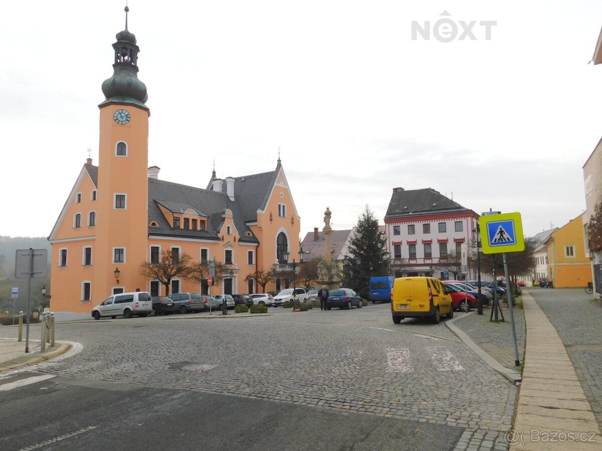 Pronájem komerční Obchodní prostory, 44㎡ - 10