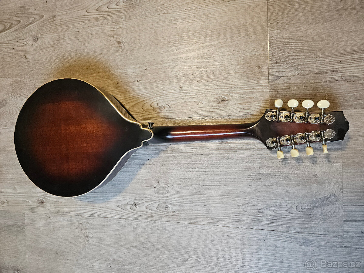 Celomasivní mandolína FURCH Ma 2 A - 10