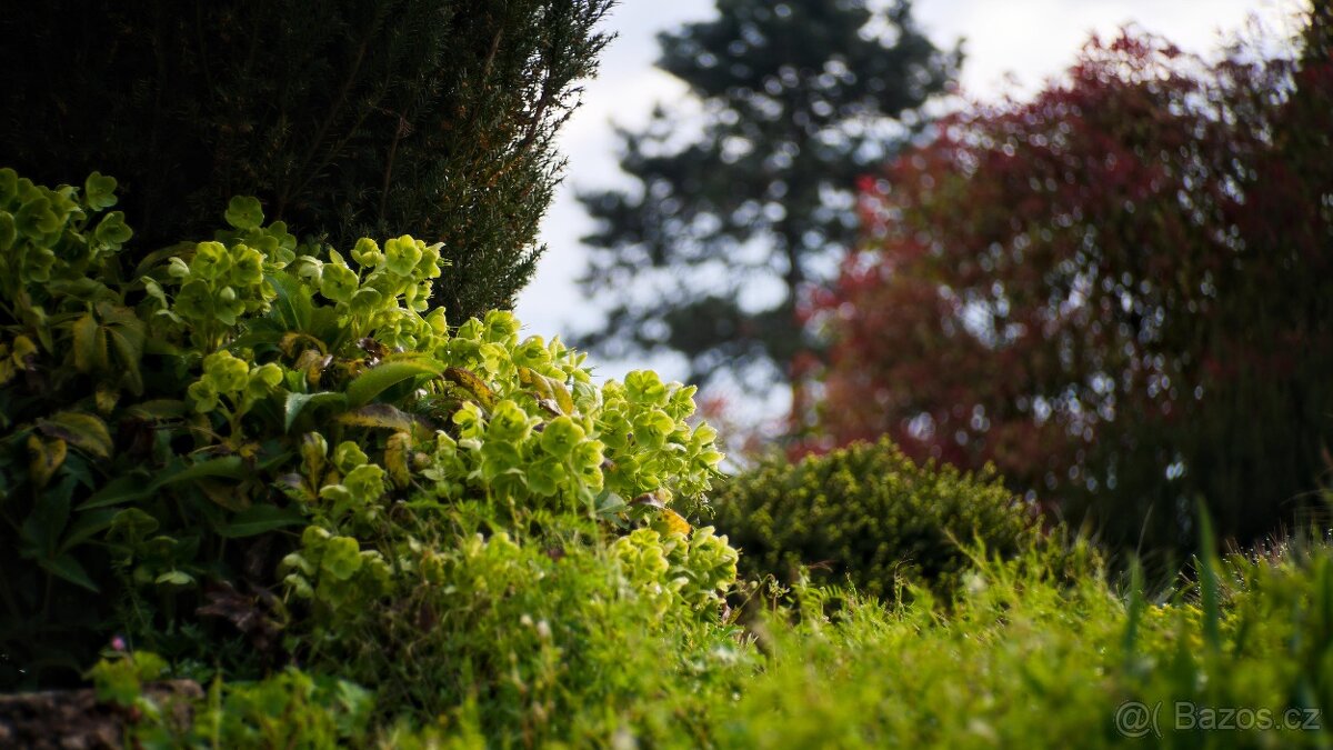 Meyer - Optik 3,5/90 TELEFOGAR - 10