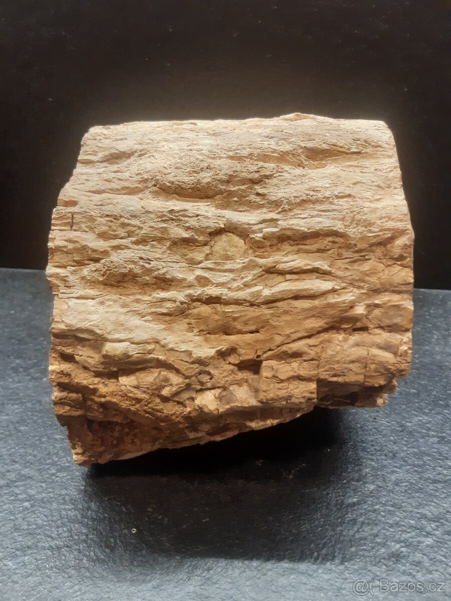 zkamenělé dřevo 7,9 kg - 10