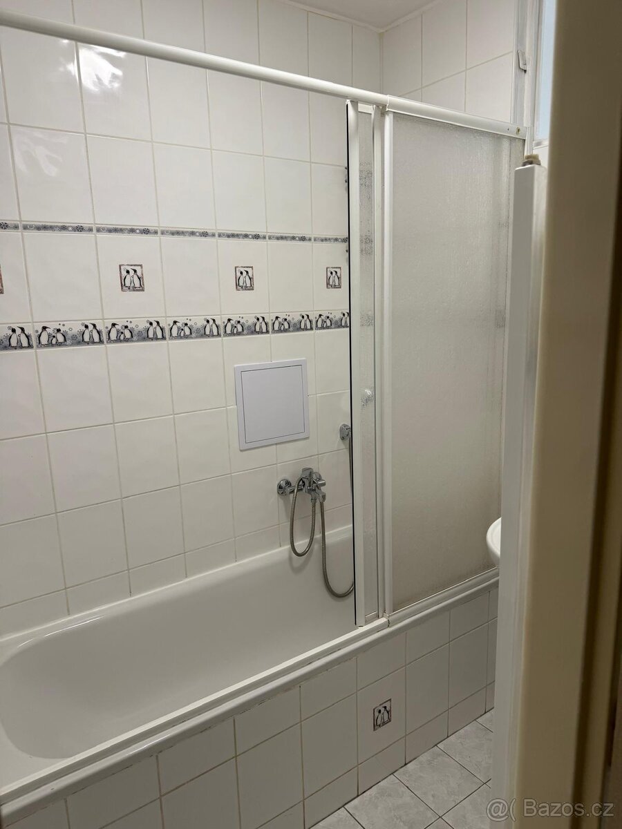 Byt 2+1 o rozloze 61 m² v centru Sokolova - 10