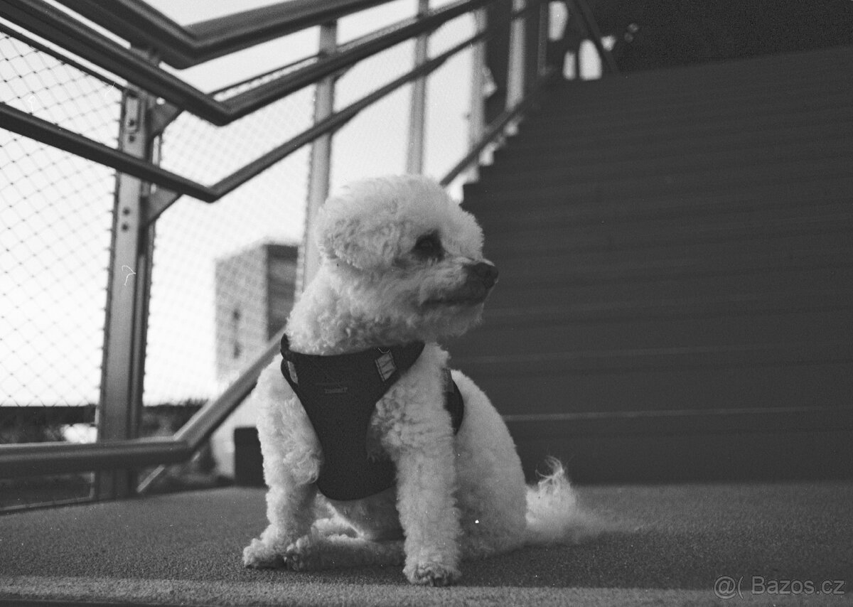 Pentax ME Super - 10