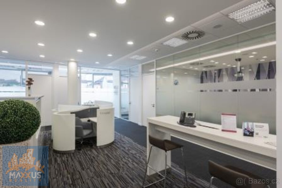 IP PAVLOVA - pronájem reprezentativní kanceláře (13 m2), Pra - 10