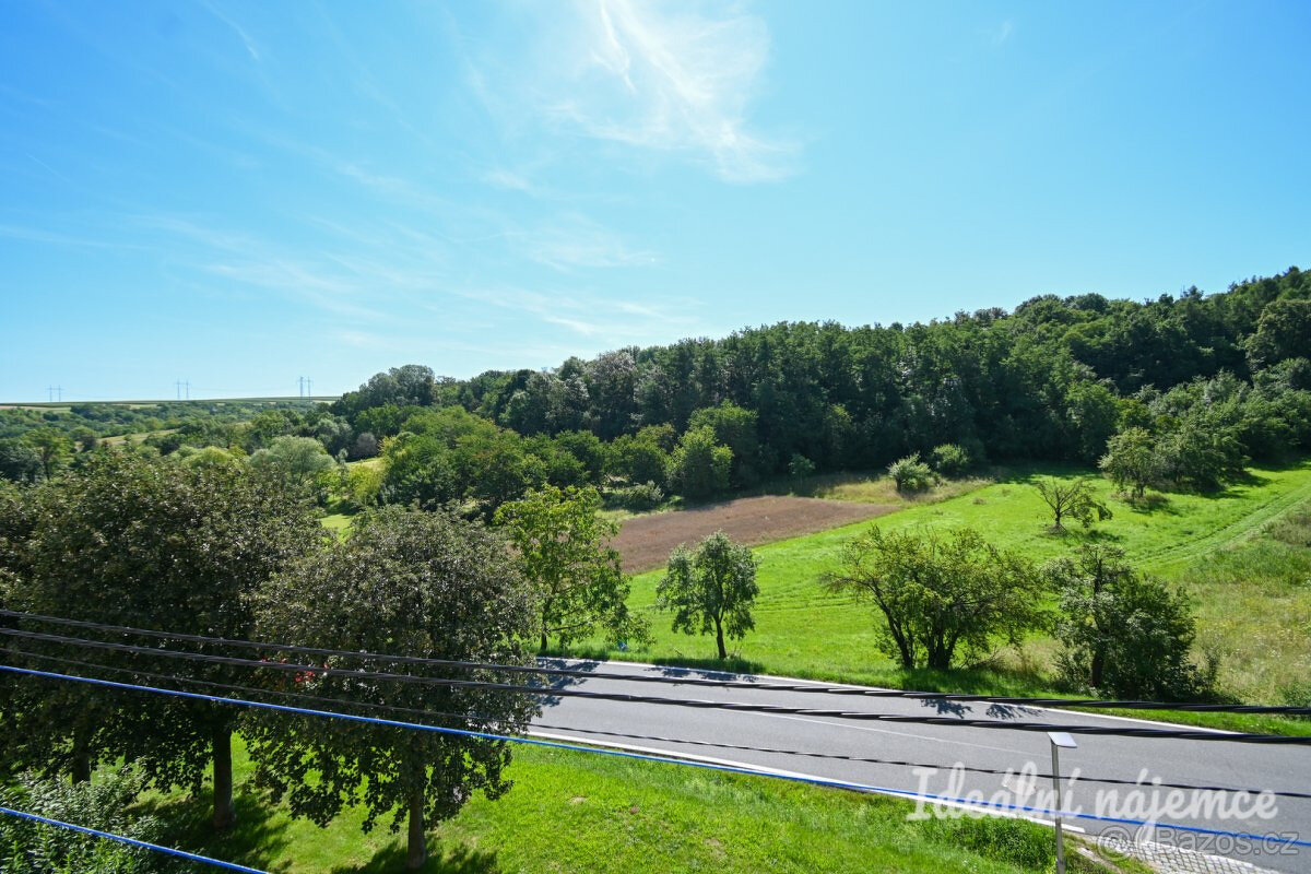 Prodej bytu 1+1 35 m² Nížkovice - 10