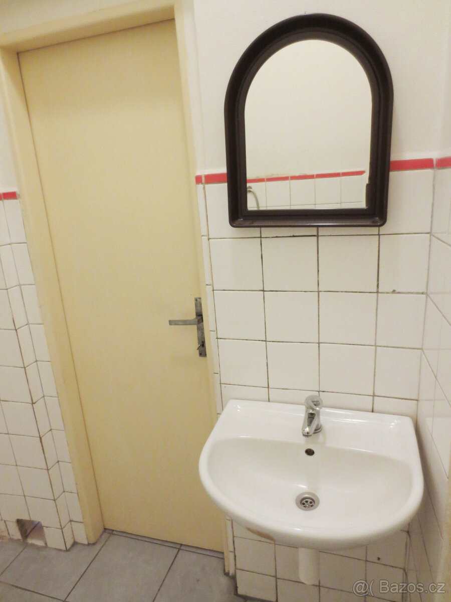 Prostorný byt 2+1 na Klatovské třídě - 10