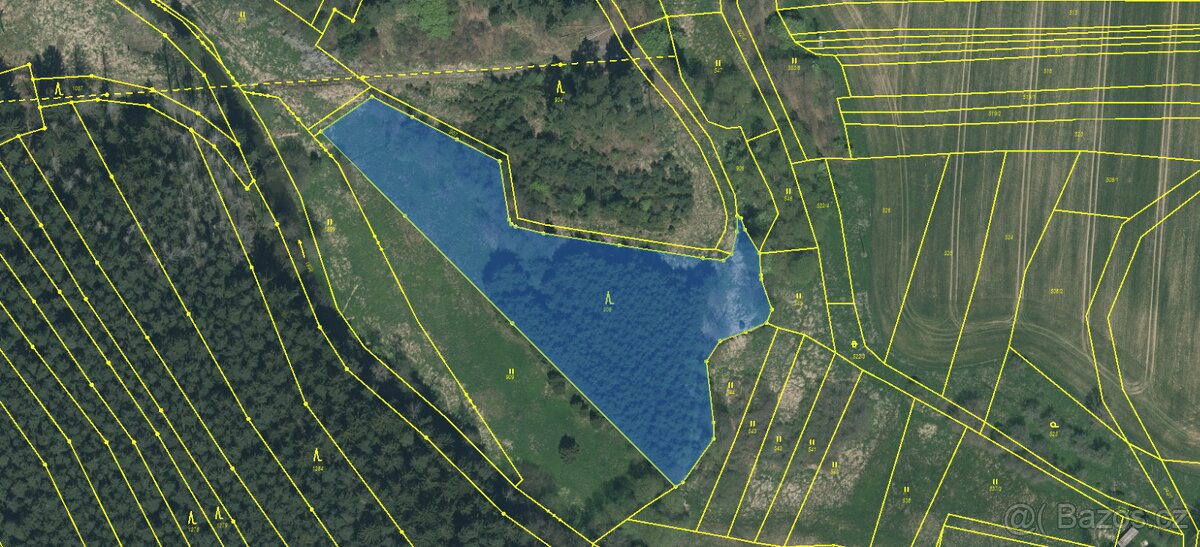 Prodám lesní pozemek v k.ú. Sedlečko u Soběslavě - 10