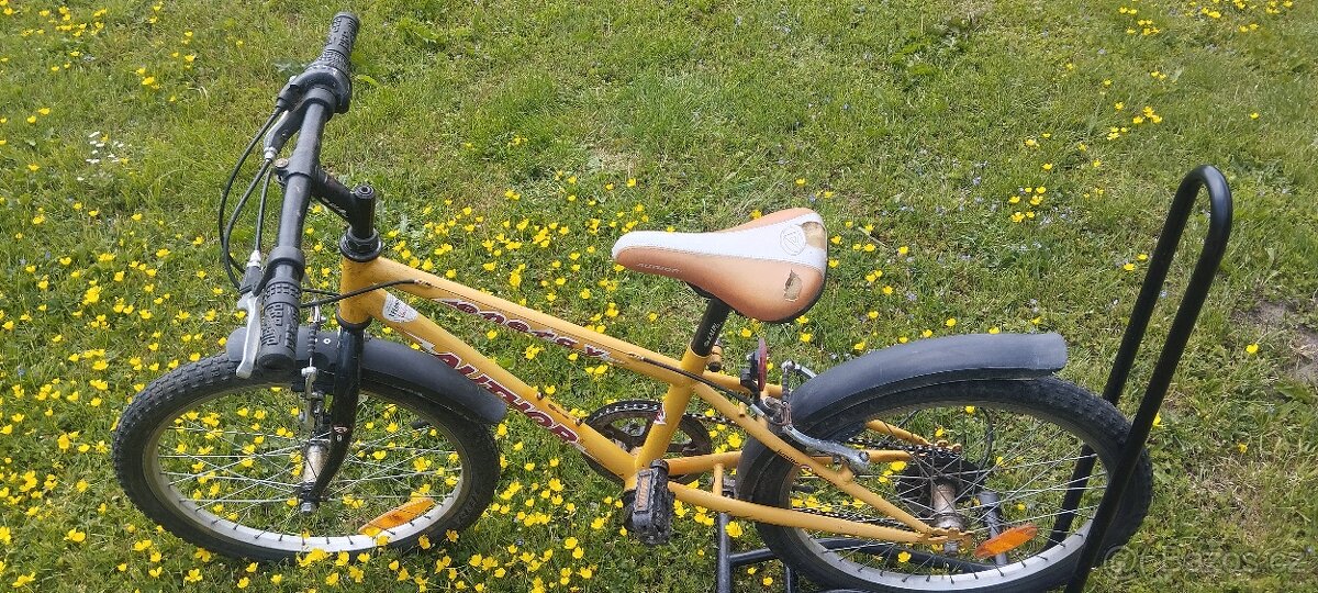 Author Energy 20" - 10