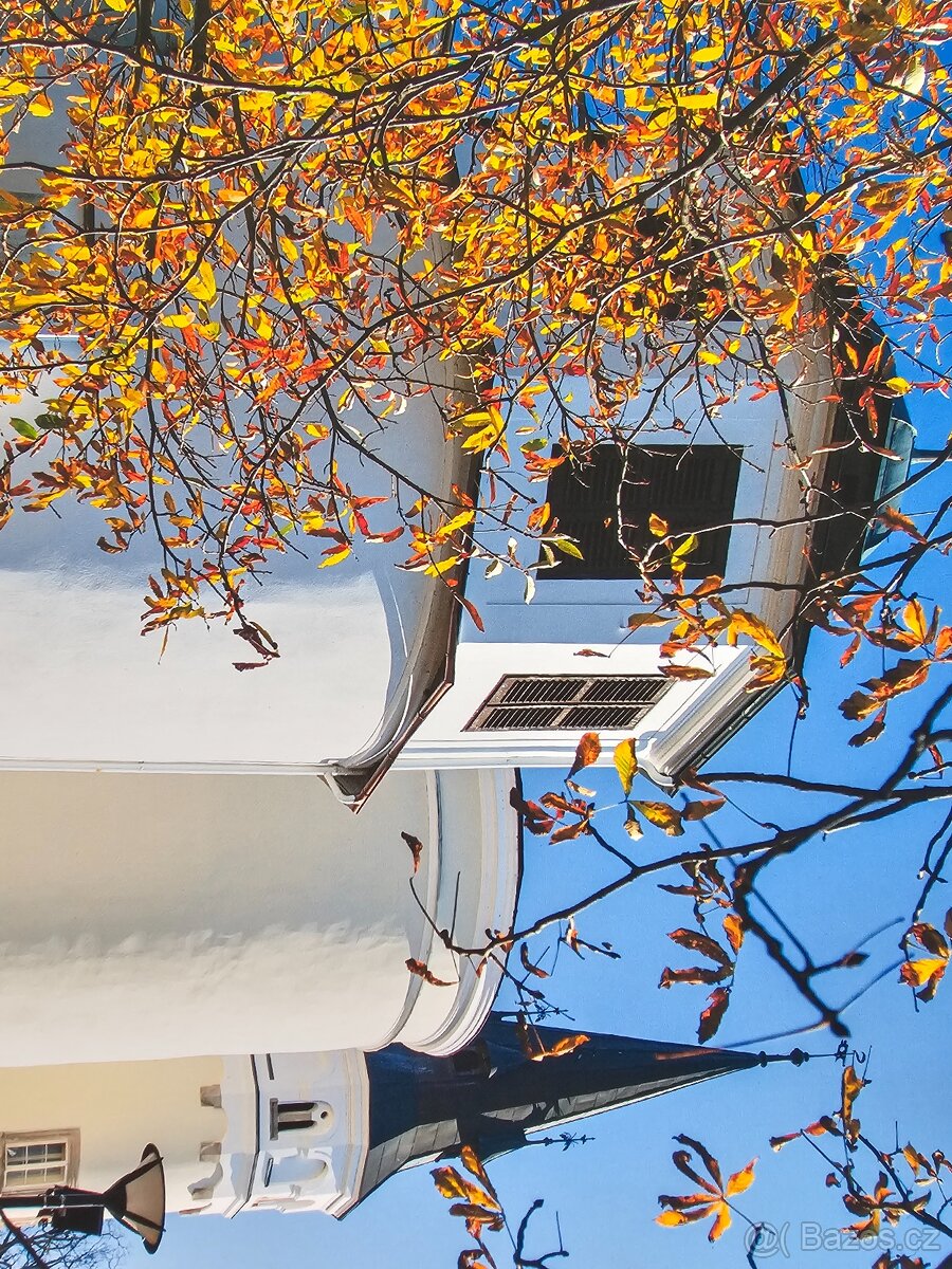 Velkoformátová tiskárna Canon TM-240 - 10