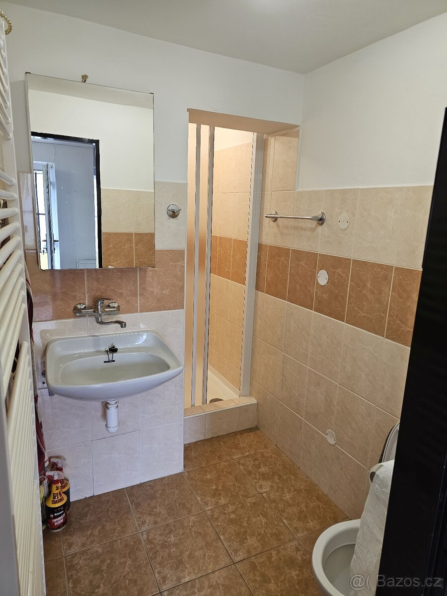 PRONÁJEM DOMU 2+1 , 57m2 Benátky Kbel - 10