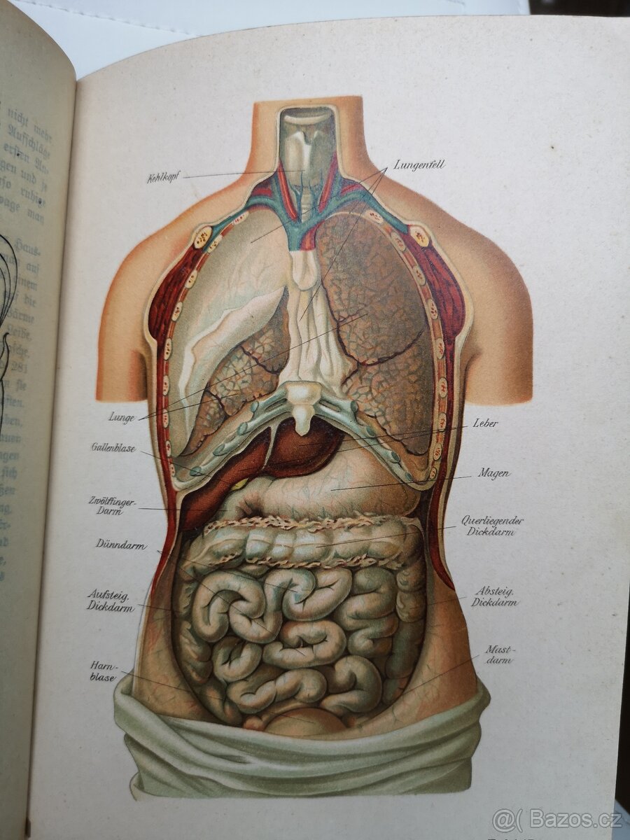 Starožitná kniha, lékařská příručka - 10