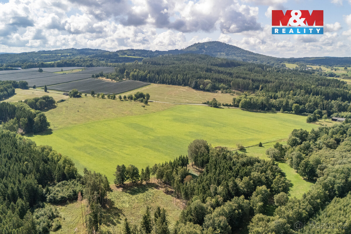 Prodej pole, 238031 m², Přimda - 10