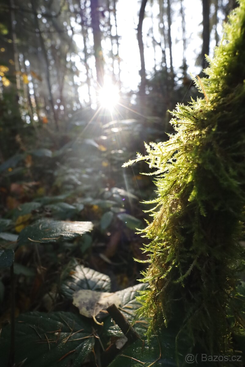 Canon RF 16 mm F2.8 STM - 10