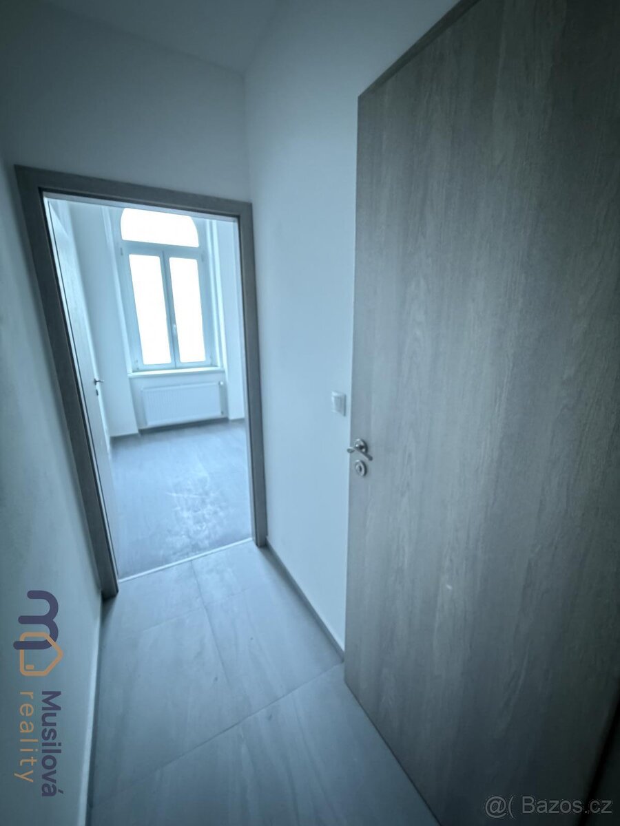 Pronájem bytu 1kk 30 m2 - 10