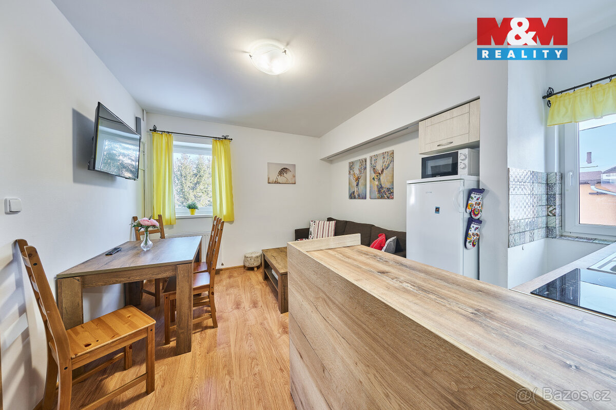 Prodej bytu 2+1, 52 m², Černý Důl - 10