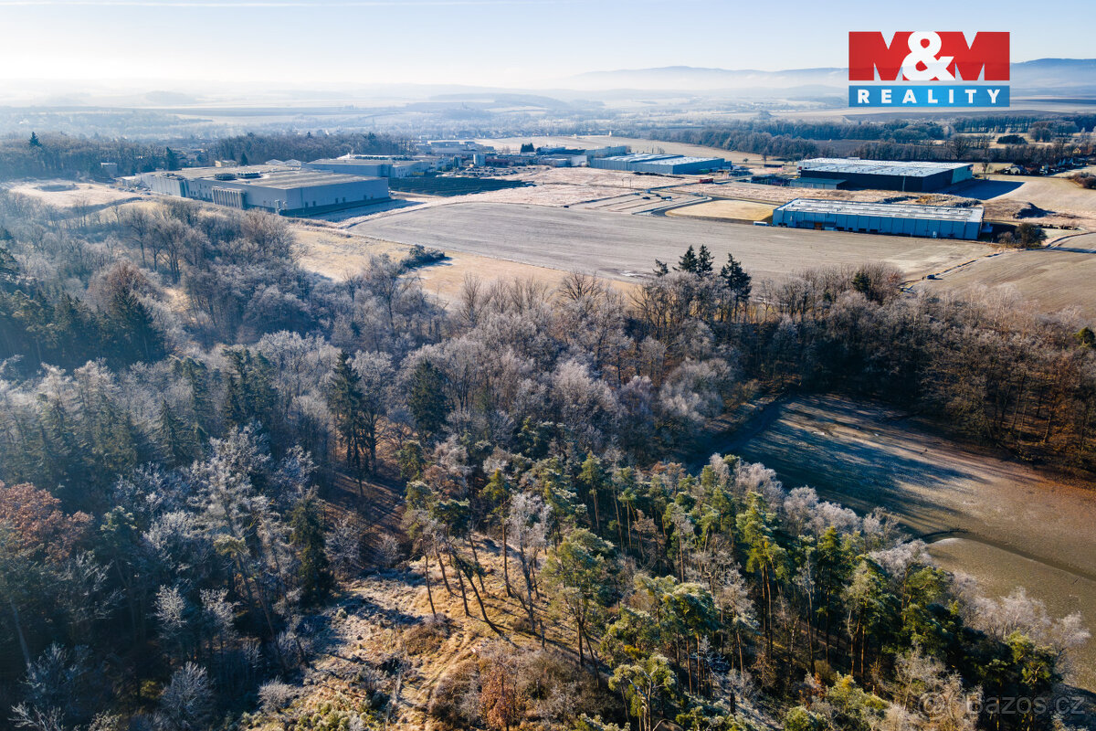 Prodej lesa, 685 m², Horšovský Týn - 10