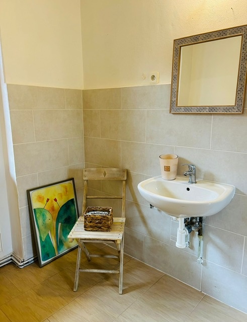 Pronájem nově zrekonstruovaného bytu - 10