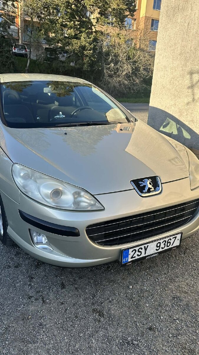 Peugeot 407 - 10