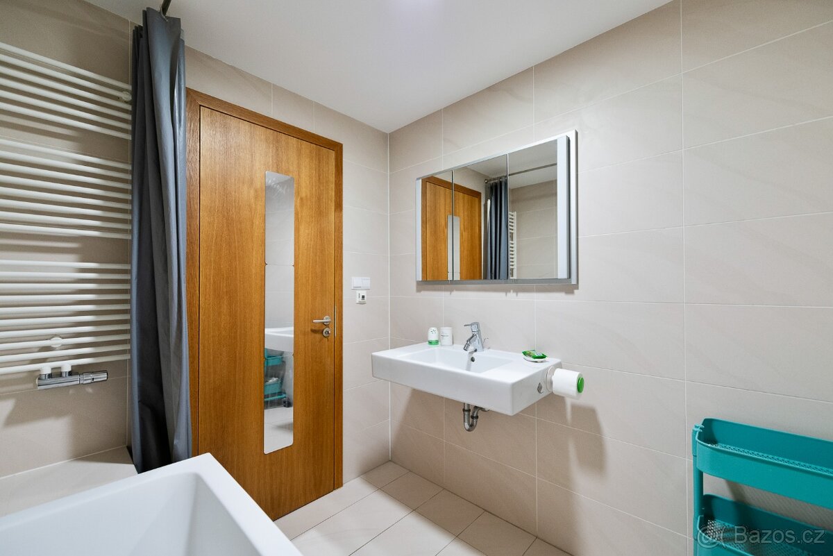 2+kk Praha 3 - Žižkov + parking - 10