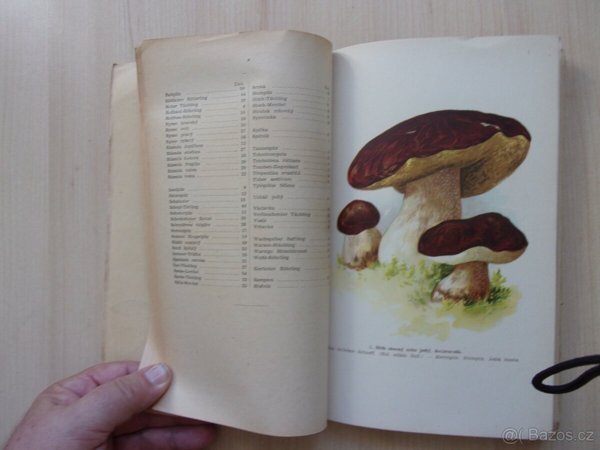 JAN JOHN - PŘÍRODOPIS HUB - HOUBY JEDLÉ A JEDOVATÉ - 10