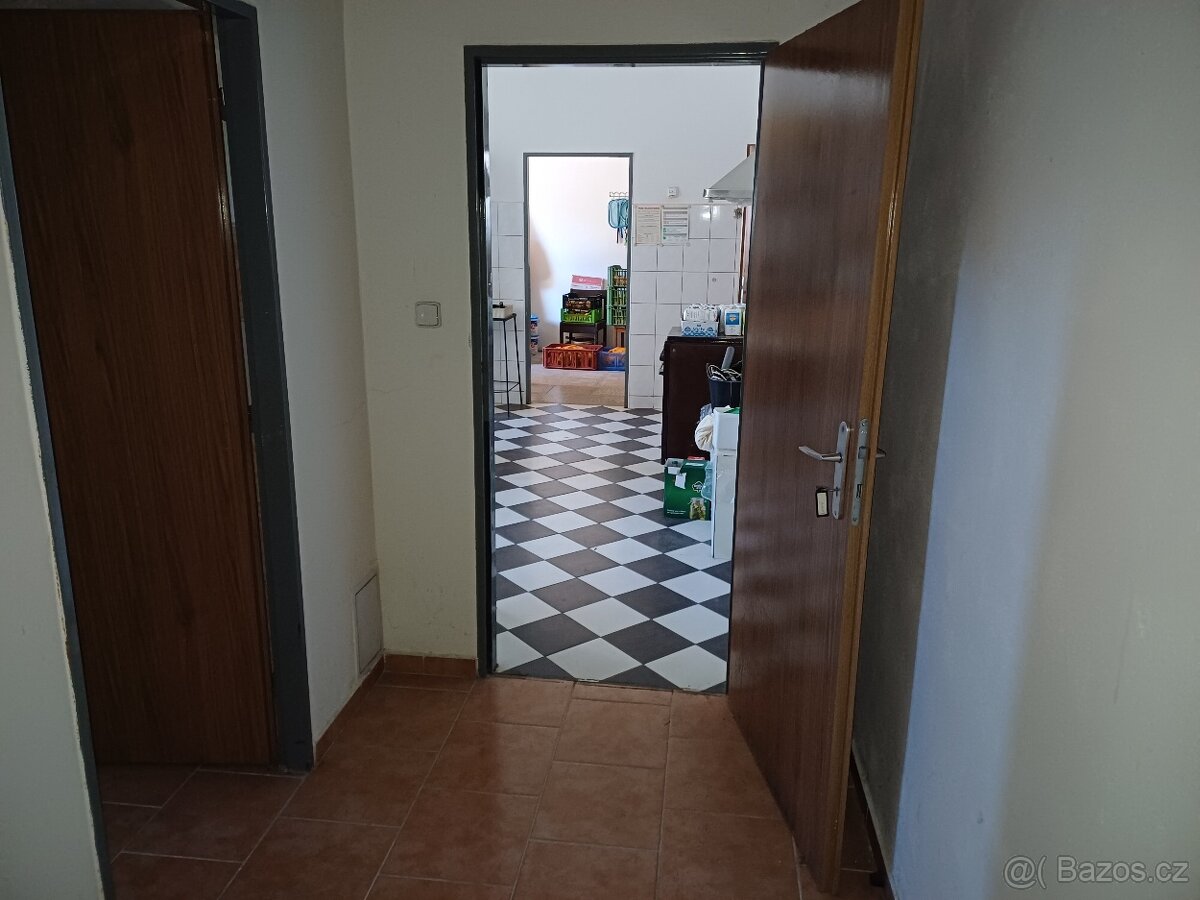 Pronájem nebytového prostoru - 10