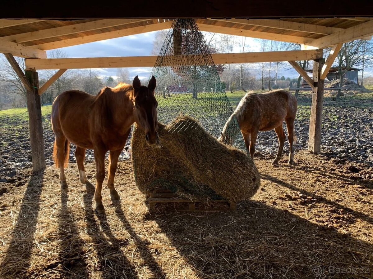 Nabízím netradiční ustájení 24/7 - 10