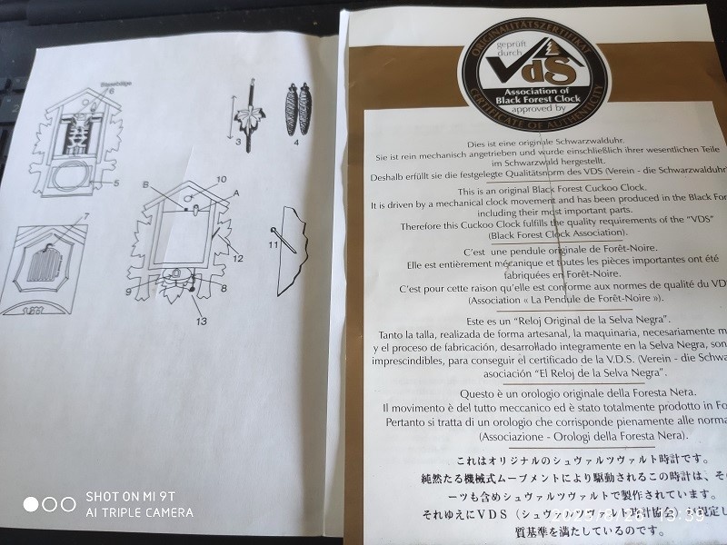 Hezke, kukacky, Schwarzwald - 10