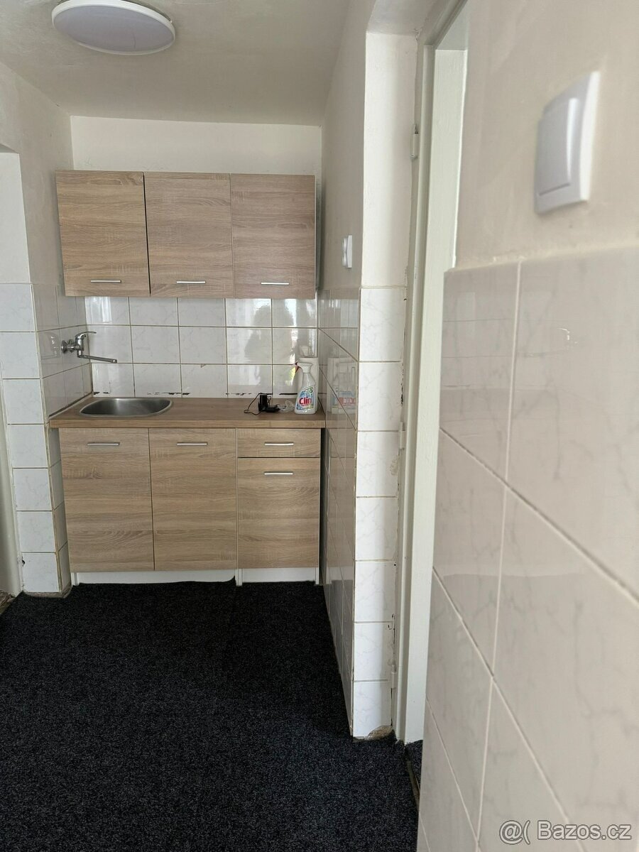 Pronajmu byt v domeku 2+kk v Libiši U rozvodny - 10