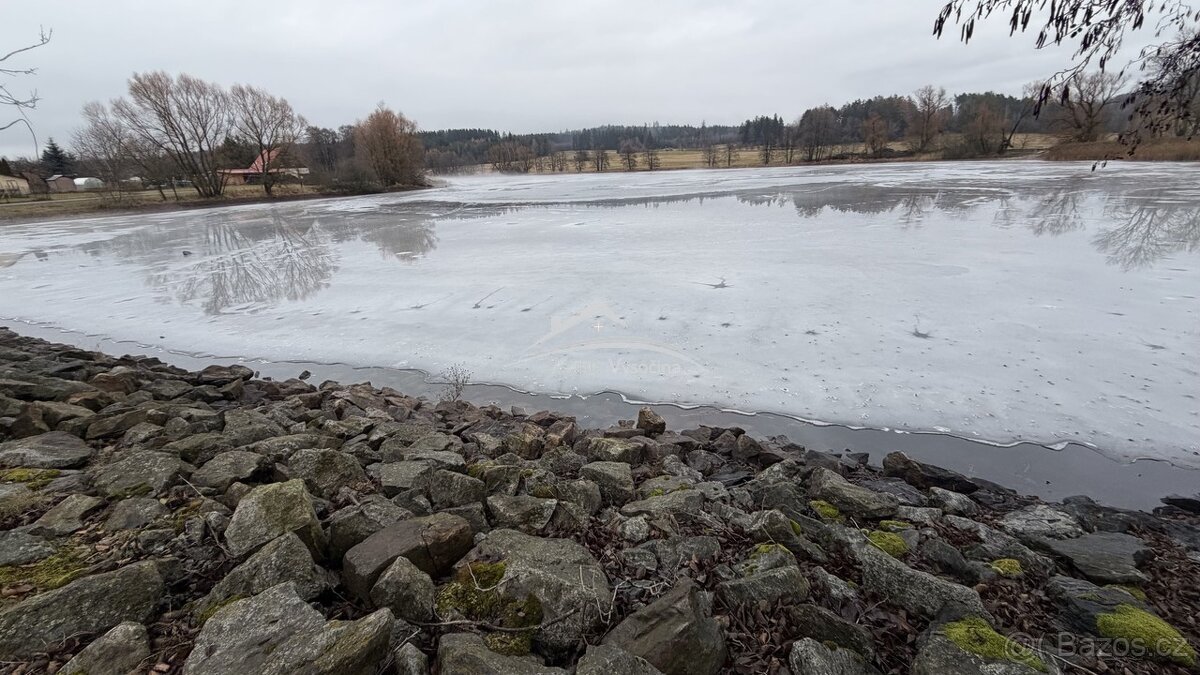 Rybník o výměře 5 ha Častrov u Žirovnice - 10