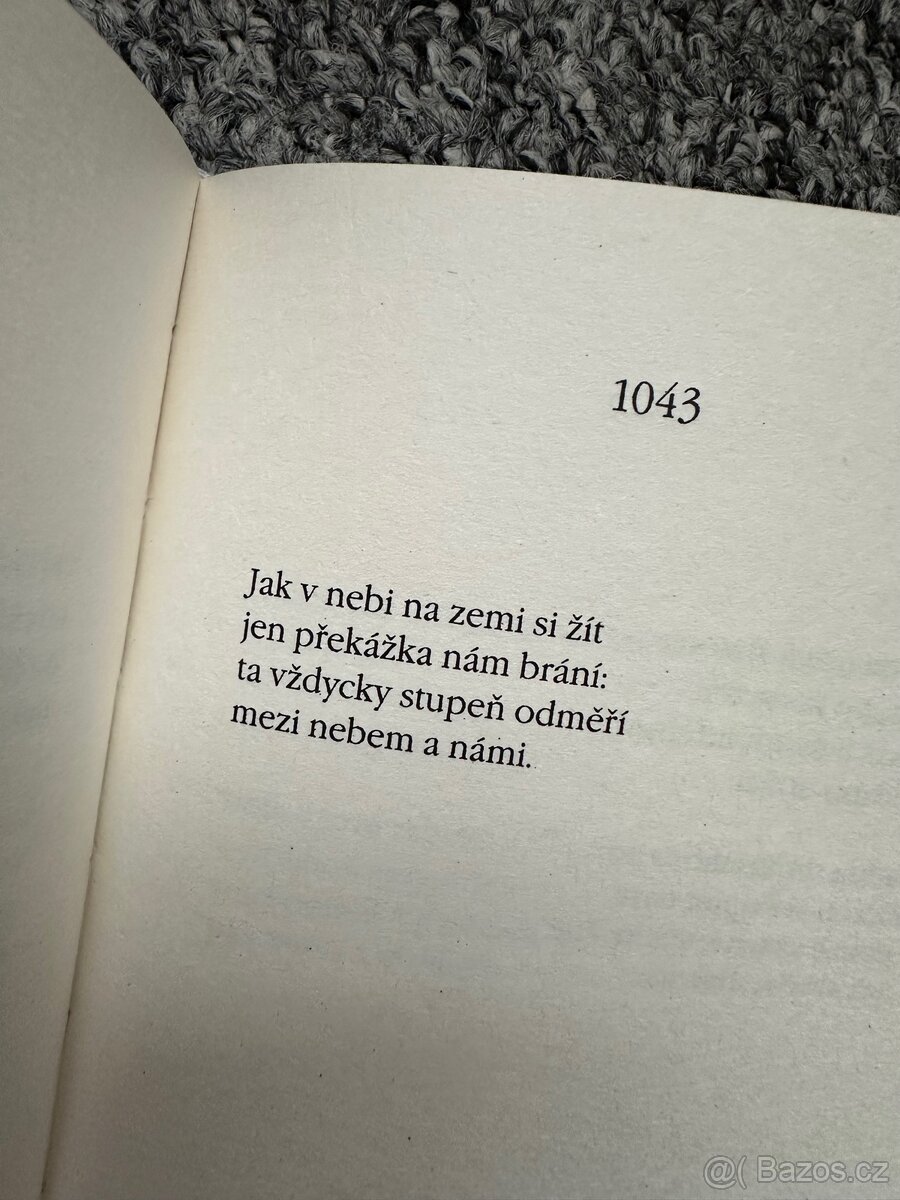 Kniha od Emily Dickinson – Duše má být vždy dokořán - 10