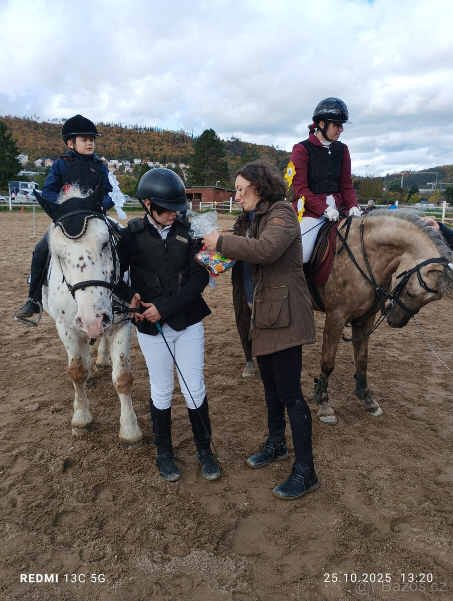 PRODÁM, NEBO PRONAJMU VYHRÁVAJÍCÍHO, ÚŽASNÉHO KONÍKA - 10